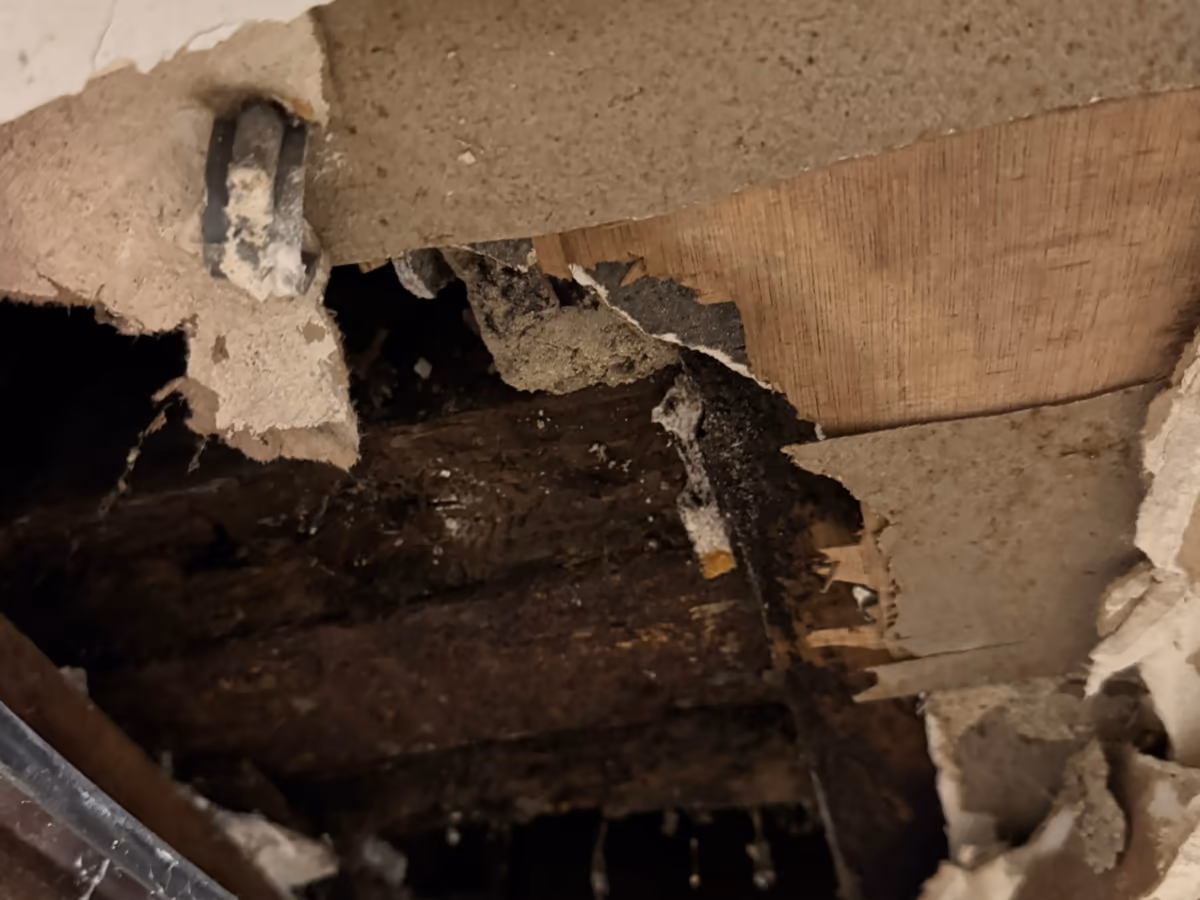 Plafond en plâtre crevé laissant voir des solives et un plancher en bois noircis et pourris par une infiltration ancienne
