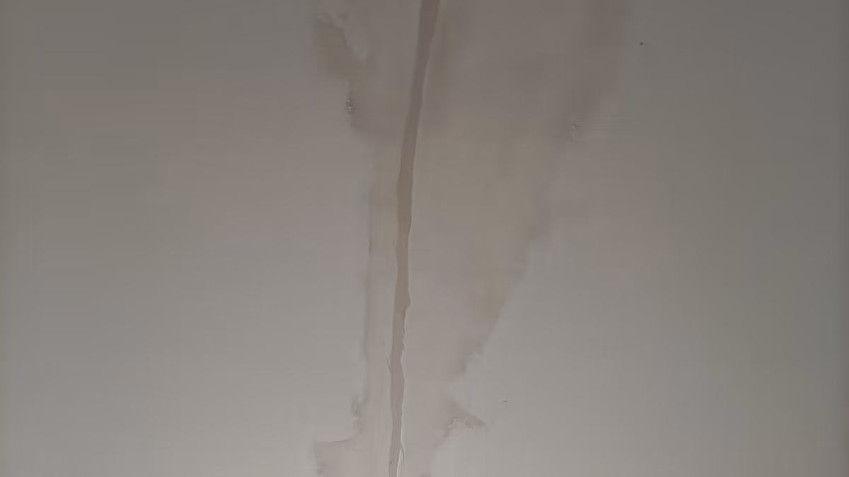 Plafond en plaques de plâtre marqué d'une longue coulure brune qui suit un joint entre deux plaques, auréoles d'humidité de part et d'autre