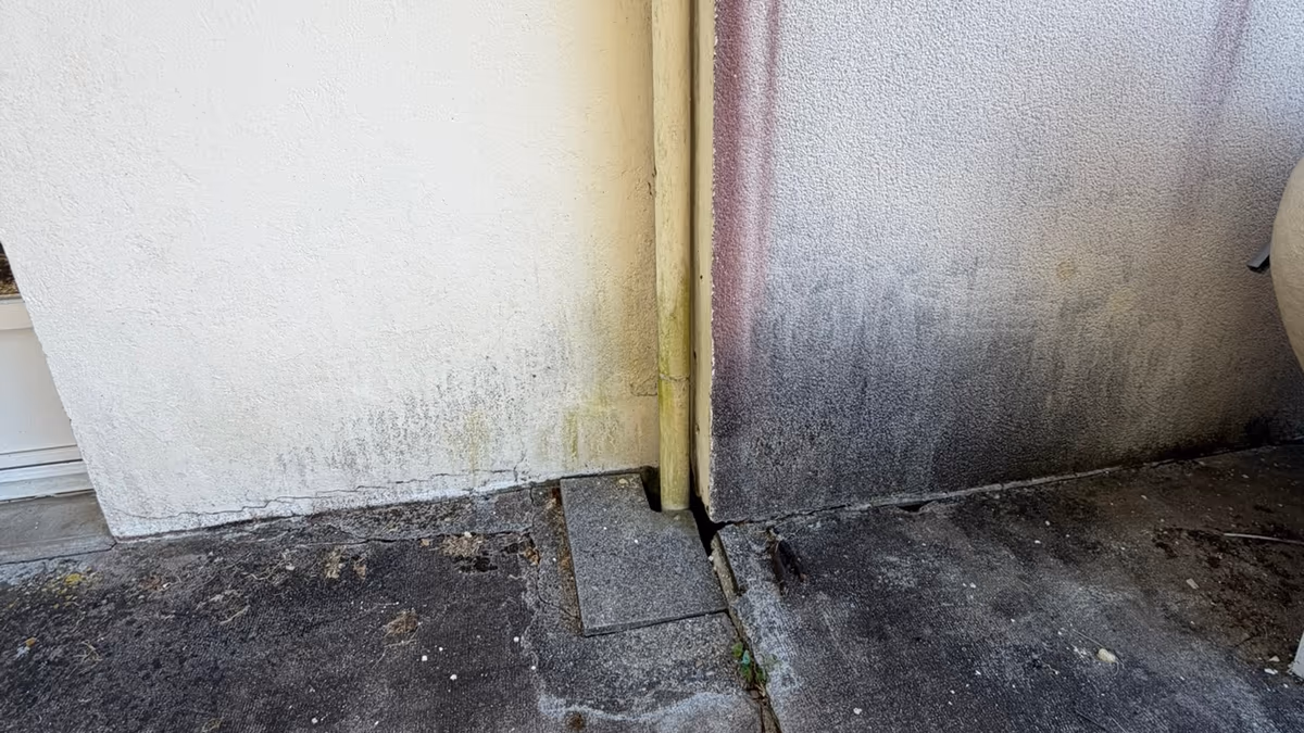 Pied de descente d'eaux pluviales arrivant sur une dalle au ras d'un mur enduit, façade noircie par l'humidité et joint ouvert entre le dallage et le soubassement