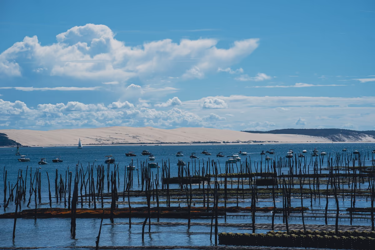 Parcs à huîtres à marée basse sur le Bassin d'Arcachon, dune de sable clair en arrière-plan