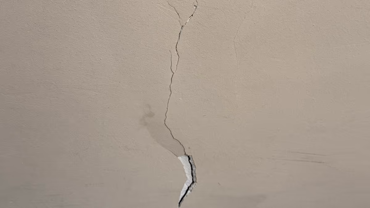 Fissure ramifiée sur un mur intérieur peint : un tracé principal vertical, des branches plus fines et un éclat de peinture arraché sur la lèvre