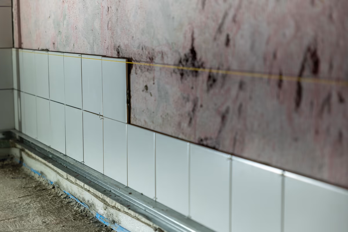 Faïence murale blanche en cours de pose sur une membrane d’étanchéité, alignée sur un rail de départ métallique en pied de mur