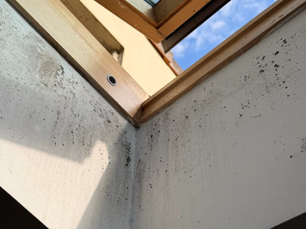 Ébrasement intérieur d'une fenêtre de toit couvert de points noirs de moisissure, plus denses dans l'angle et le long du cadre en bois