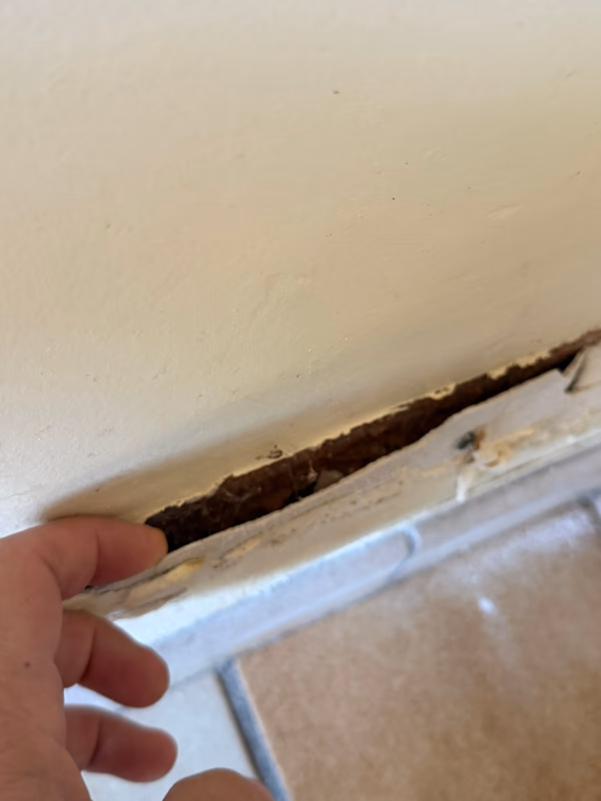 Main écartant une plinthe décollée en pied de mur, la peinture arrachée au-dessus laisse voir un support brun et humide