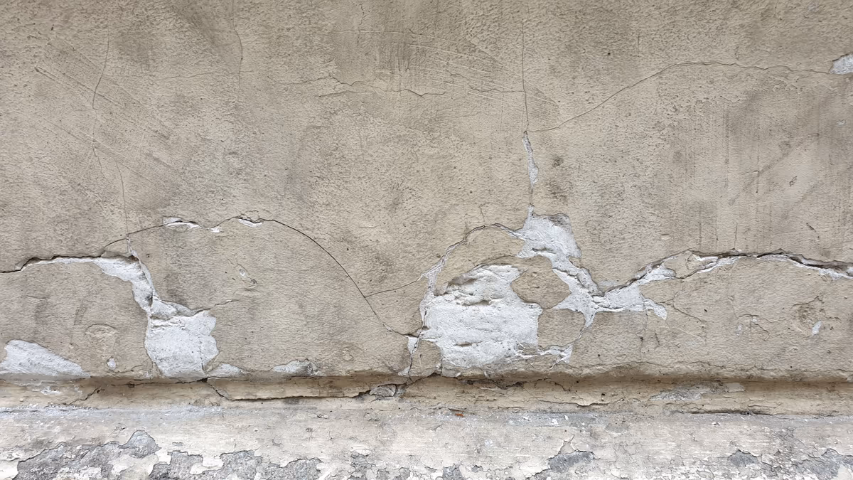 Pied de mur dont l'enduit se décolle en bande continue juste au-dessus du sol, trace d'humidité à contour marqué sur toute la longueur de la paroi