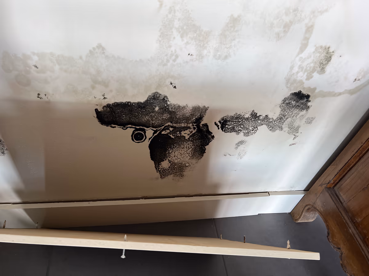 Bas de mur couvert de taches noires de moisissure et d'auréoles, la plinthe déposée posée au sol devant la paroi