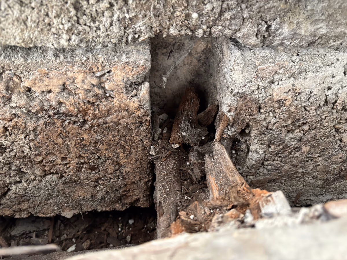 Réservation dans un mur maçonné où s'engageait un about de solive : il ne reste que des fragments de bois pourri et des débris au fond de l'encastrement