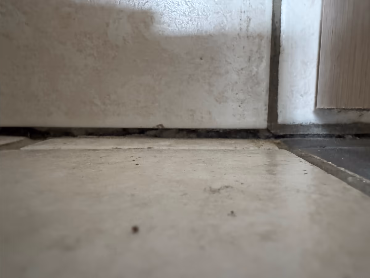 Joint ouvert sur toute la longueur entre une plinthe carrelée et le carrelage de sol, au droit d’un seuil de porte, photographié au ras du sol